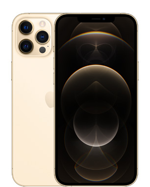 iphone12_pro_max_gold__er1w4a8co466_large